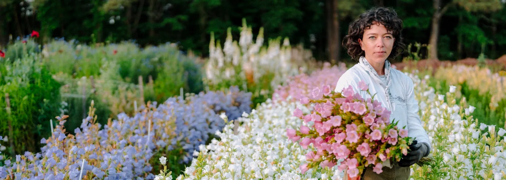 Your Local Wedding Florist in for Your Big Day